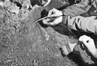 考古隊員在用小刷子和筷子小心翼翼地清理地層中的骨骼化石。