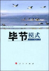 畢節模式 畢節模式