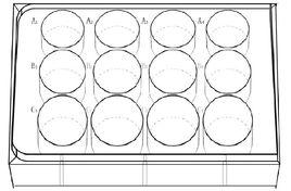 12孔板沙門氏菌定量 12孔板沙門氏菌定量