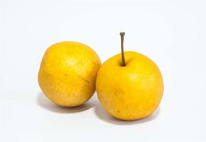 黃梨[水果品種]