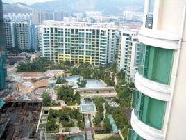 世紀綠洲 世紀綠洲