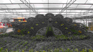 泰州溱湖濕地生態園