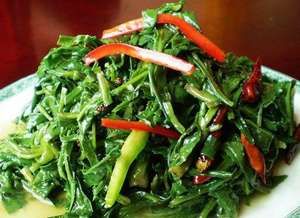 拌泥胡菜 拌泥胡菜