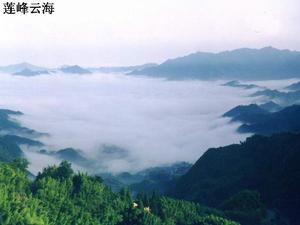 蓮峰露於雲海之上。