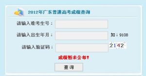 廣東考試服務網成績查詢