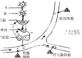 分級調節 分級調節