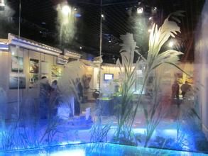 淮河博物館 淮河博物館