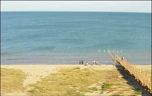 昌黎黃金海岸國家級自然保護區