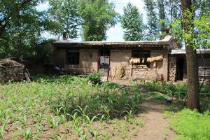 西店子自然村 西店子自然村