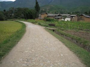 豐登禾自然村 豐登禾自然村