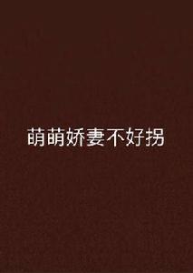 萌萌嬌妻不好拐