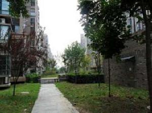 南方楓彩園 南方楓彩園