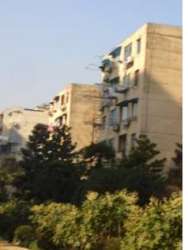 自治小區 自治小區