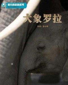 大象羅拉 大象羅拉