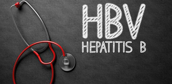 B肝