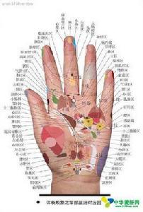 手掌健康圖解 手掌健康圖解