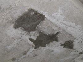 混凝土板裂縫 混凝土板裂縫