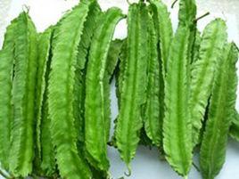 湘棱豆3號 湘棱豆3號