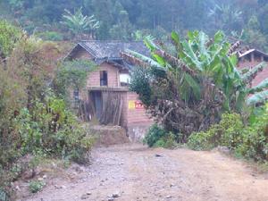 木瓜沖自然村 木瓜沖自然村