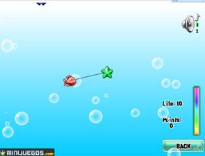 水族石頭 水族石頭