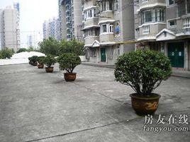 大華三村二街坊 大華三村二街坊