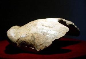 1929年12月2日 1929年12月2日