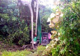 桂平挖蛇事件 桂平挖蛇事件