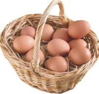純正土雞蛋