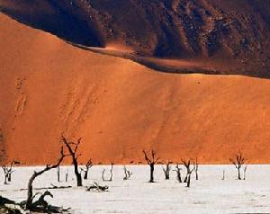 （圖）納米比沙漠