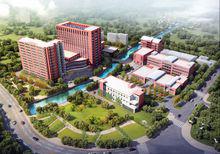 上海市第七人民醫院（總院）-高橋