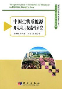中國生物質能源開發利用探索性研究 中國生物質能源開發利用探索性研究