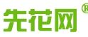 先花網 先花網