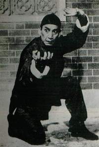 《血濺二柳莊》