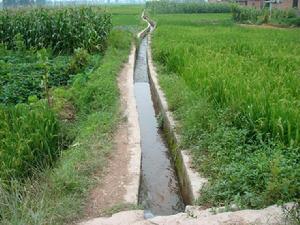 莊子營村[雲南省玉溪市紅塔區春和鎮下轄村]