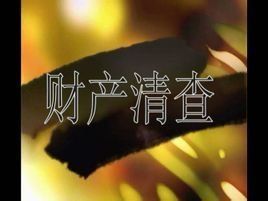 財產清查 財產清查