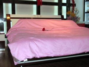 桐鄉銀鳳來有限責任公司