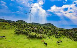 烏蒙大草原 烏蒙大草原