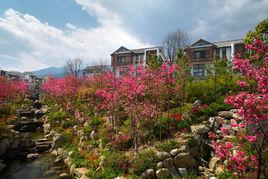 花溪谷[公司名]