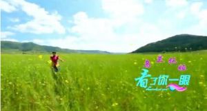 看了你一眼 看了你一眼