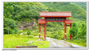 都勻供銷茶葉 都勻供銷茶葉