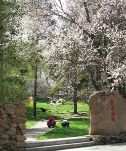 哈爾濱森林植物園