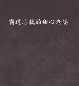 霸道總裁的甜心老婆 霸道總裁的甜心老婆