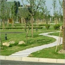 公路苗圃 公路苗圃