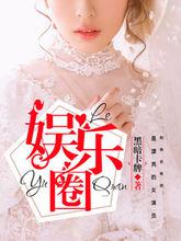 娛樂圈[暗夜文學網小說]