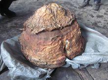 杭州秦歲珍芝貿易有限公司