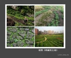 嚴奇[無錫航亞科技股份有限公司董事長]