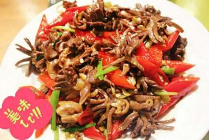 油泡腎球 油泡腎球