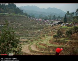 香粉鄉古龍坡會 香粉鄉古龍坡會