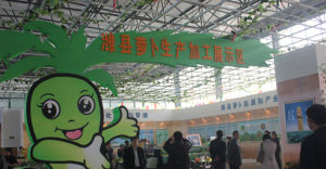 濰縣蘿蔔文化節