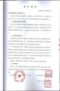 審計工作報告 審計工作報告